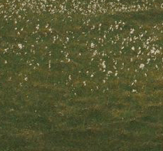 22.gif
