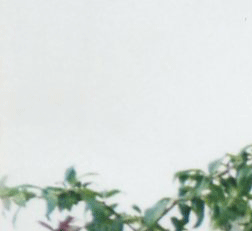 feb 3.gif