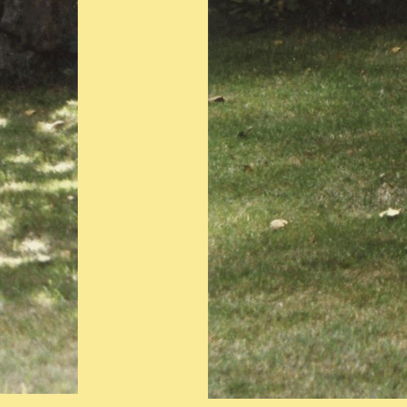 22.gif