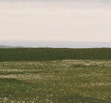 15.gif