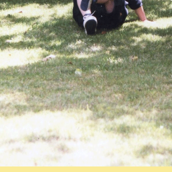 25.gif