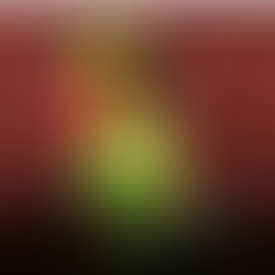 Varsovie, Białystok et l’Europe : itinéraire d’un jeune numéro un polonais