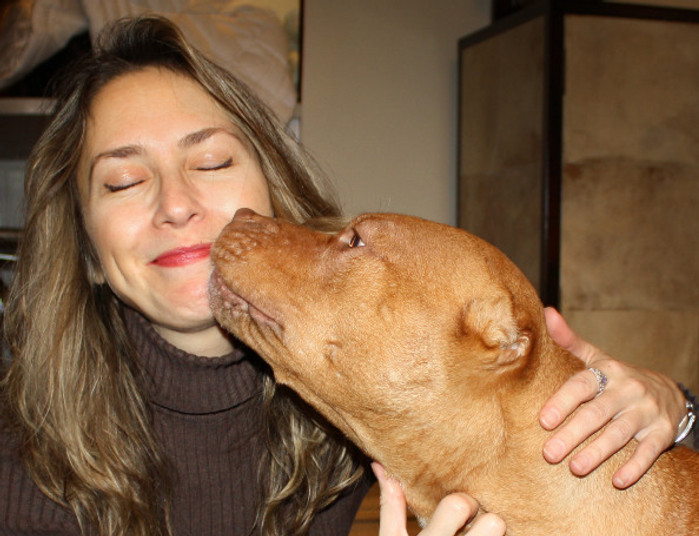 Best Dog Behaviorist Christina Shusterich NY Clever K9 and Rescued Pitbull Rosie