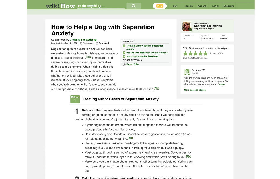 How to Help a Dog with Separation Anxiety