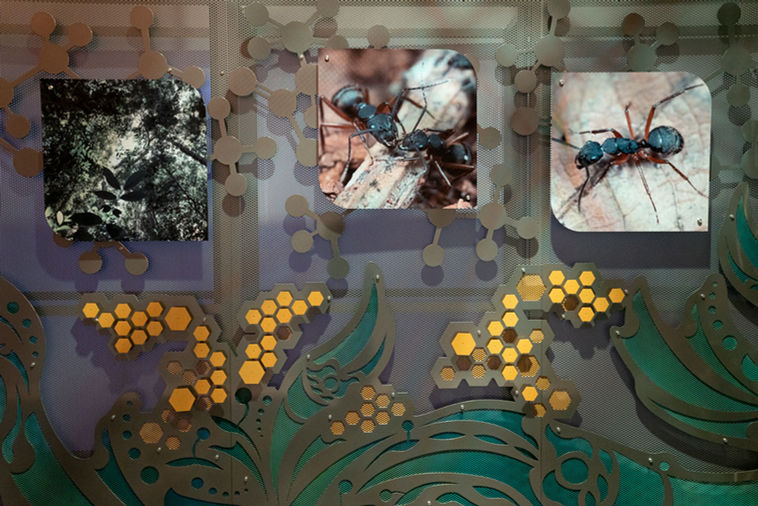 A close-up view of the metal artwork created for the Zombie Ant Experience, highlighting its sculptural form, texture, and intricate detail.