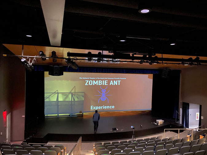 Standing on stage during testing of the Zombie Ant Experience, with the large projection screen displaying the immersive visual content.