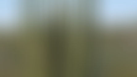 Organ Pipe Cactus National Monument - Arizona