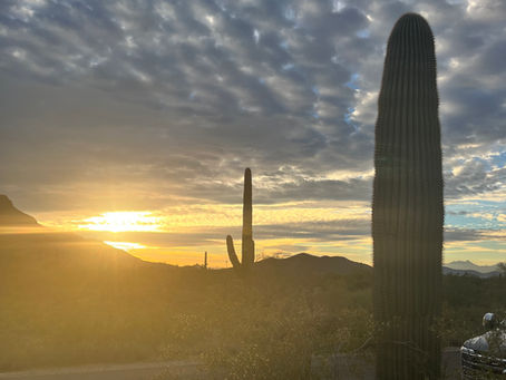 Desert sky at sunset with saguaro cactus taken by Lets Savor the Journey blog owner Liz Thompson