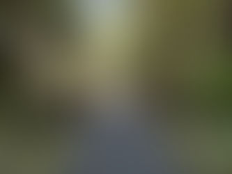 Banks Vernonia State Rail-Trail