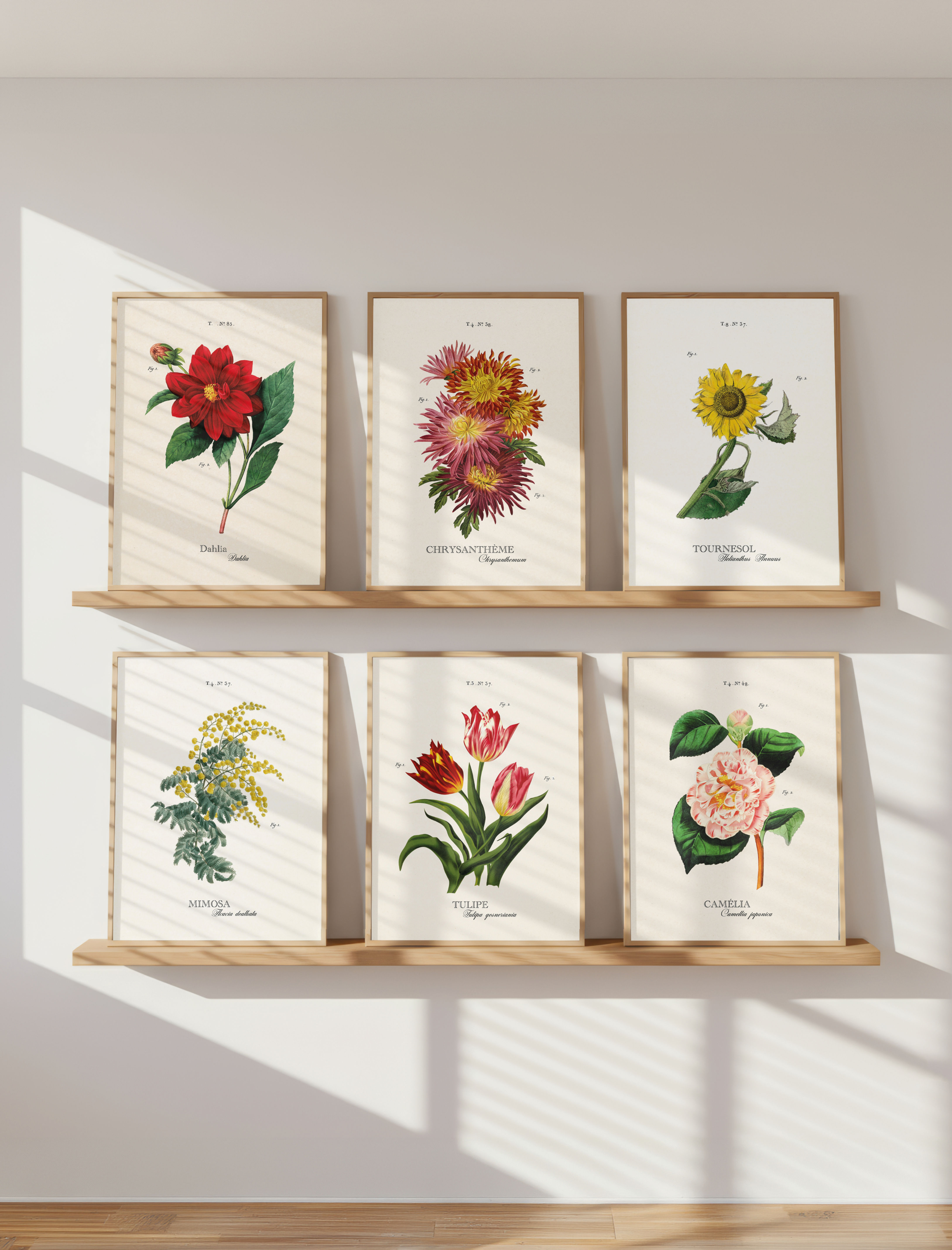 Lot Affiches botaniques - Rouge et jaune