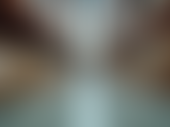 Tailored Solutions with Specialized Transport Services