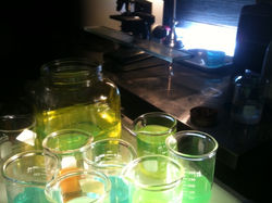 EXTINCTION: PREDATOR X