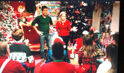 A Very Merry Toy Store