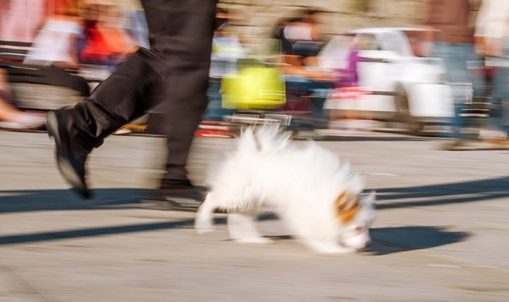 Fotografía de calle