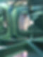 GreenRoofTestBed.jpeg