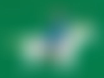 2026年もよろしくお願いします