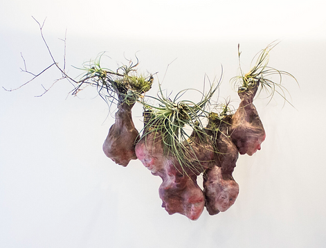 Screen Shot 2023-10-27 at 11.37.11 AM.png