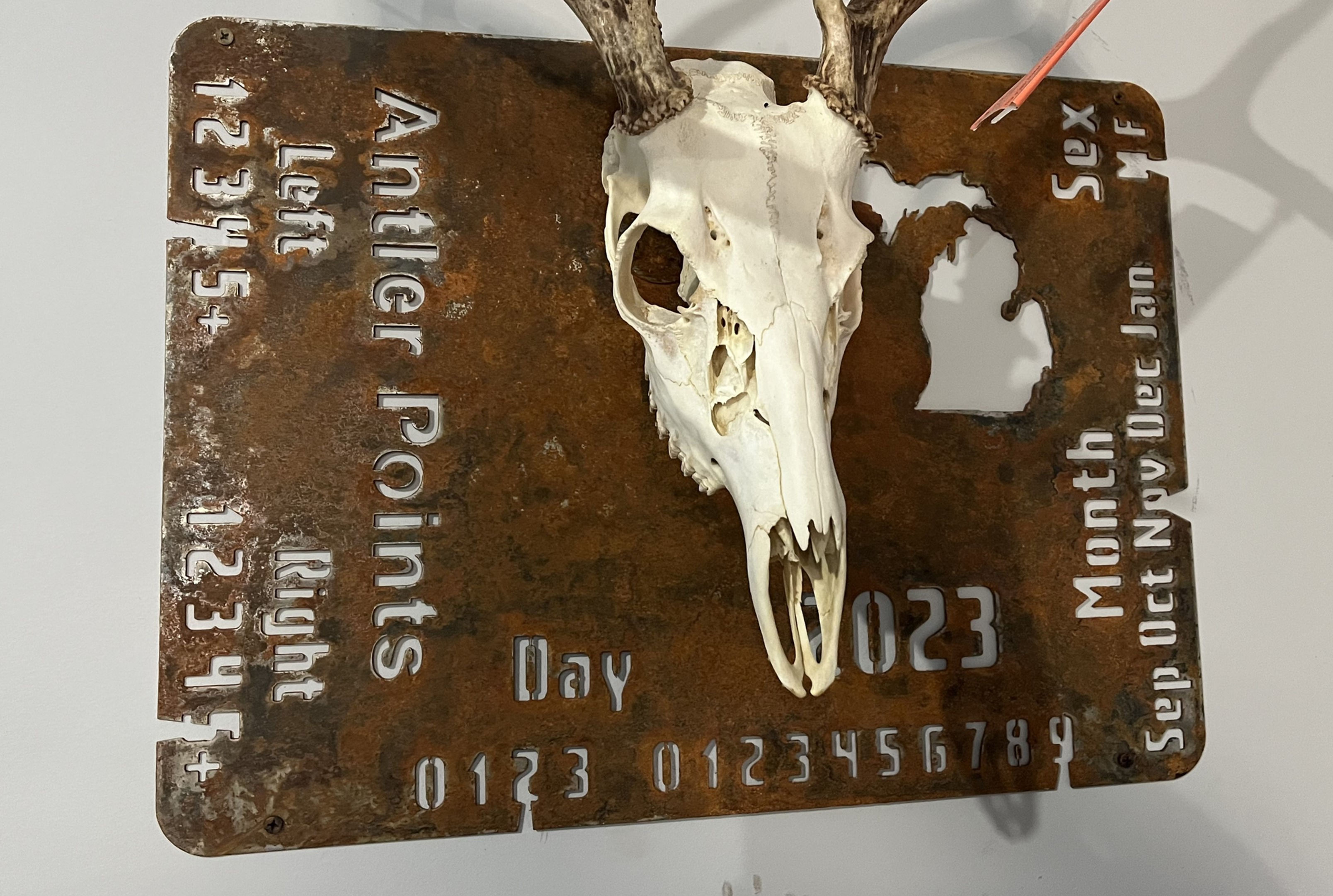 Metal Michigan Deer Tag