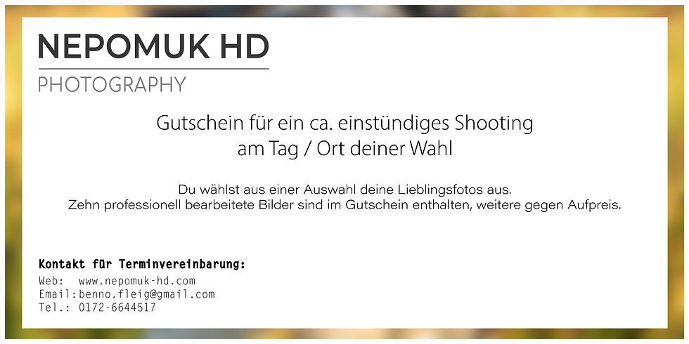 Miniaturbild: Gutschein: Hundeshooting (2+ Hunde)