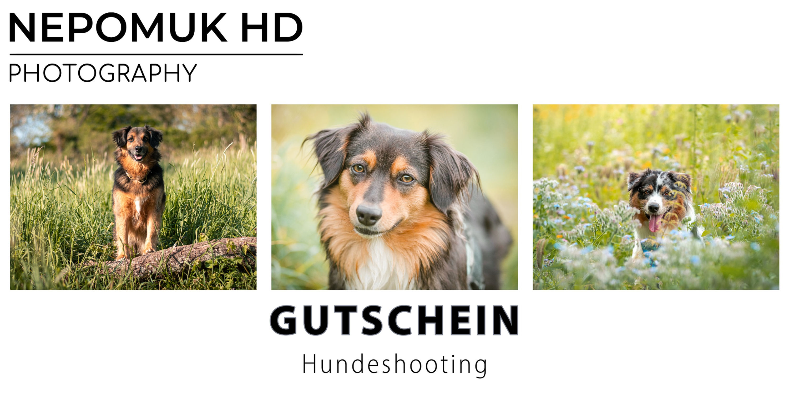 Gutschein: Hundeshooting