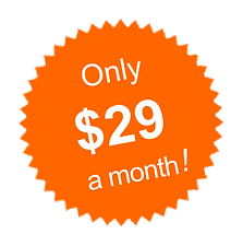 starburst license parking 29 mo.png