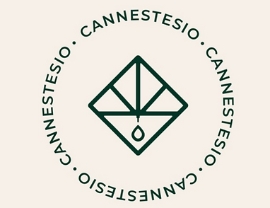 Captura de Tela (8).png