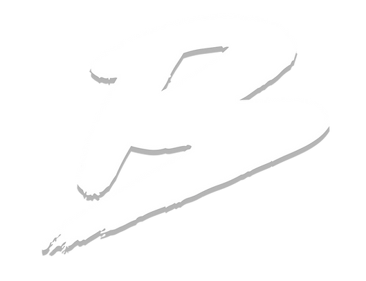 B logo2_edited.png