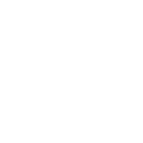 Kidojo_Logo-weiss.png