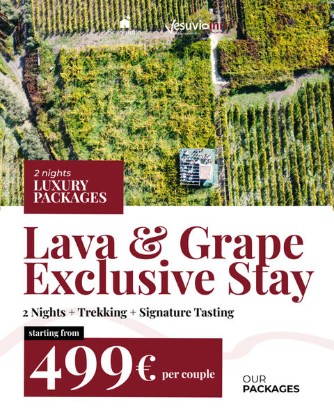 Lava & Grape Exclusive Stay – 2 Nights + Trekking + Signature Tasting
