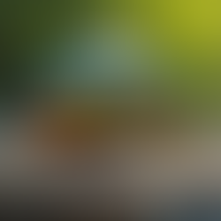 Why Handmade Fishing Lures Are a Game-Changer