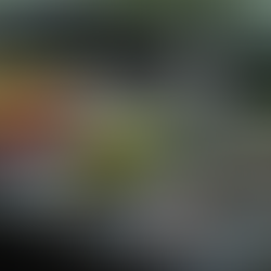 Choosing the Perfect Backwoods Bait and Tackle