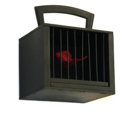 LA LECCIÓN APRENDIDA