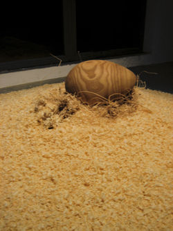 Sergio Sotomayor. Nido. Detalle.jpg