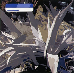 Ángel Masip - Savage 1