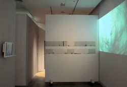 Maciej Stepinski. Pica Pica.jpg