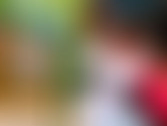 Fortis Green Renewables Announces Strategic Partnership with LifeNet International to Strengthen Healthcare and Energy Access in Africa