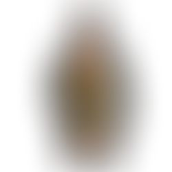 Embroidered floral jacket