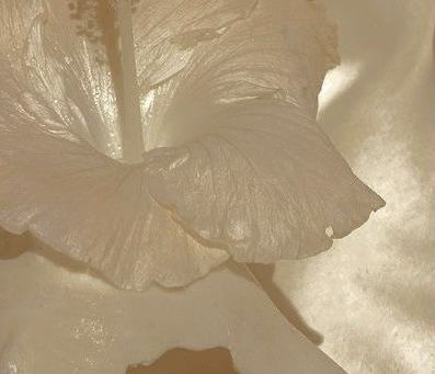 Pourquoi choisir des bijoux en acier inoxydable ?