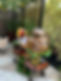 f3da8fbe-da32-4c4c-8810-1572246acfa0.jpg
