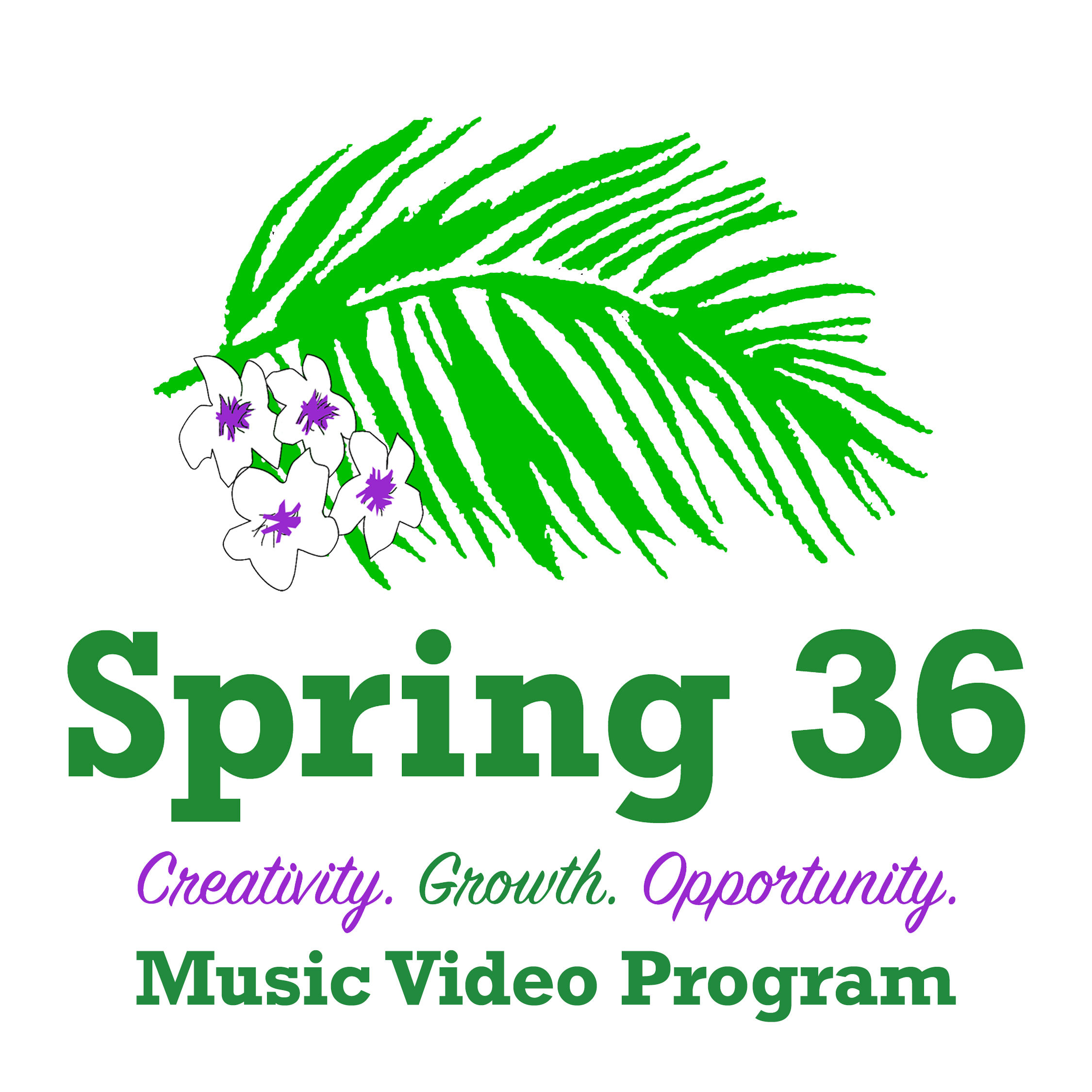 Sponsor A Participant in the Music Video Program