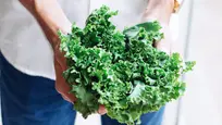 Our beloved Kale!