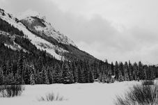 Historical Note - Week of January 18th