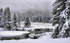 Historical Note - Week of December 20th