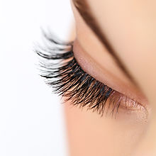 Long Eyelashes