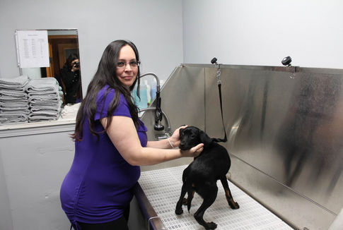 The Pet Parlor of Racine