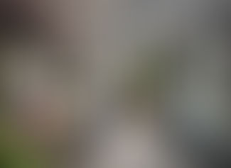 보스턴 브런치 성지 비교: 콘테사 vs 래플스 롱 바