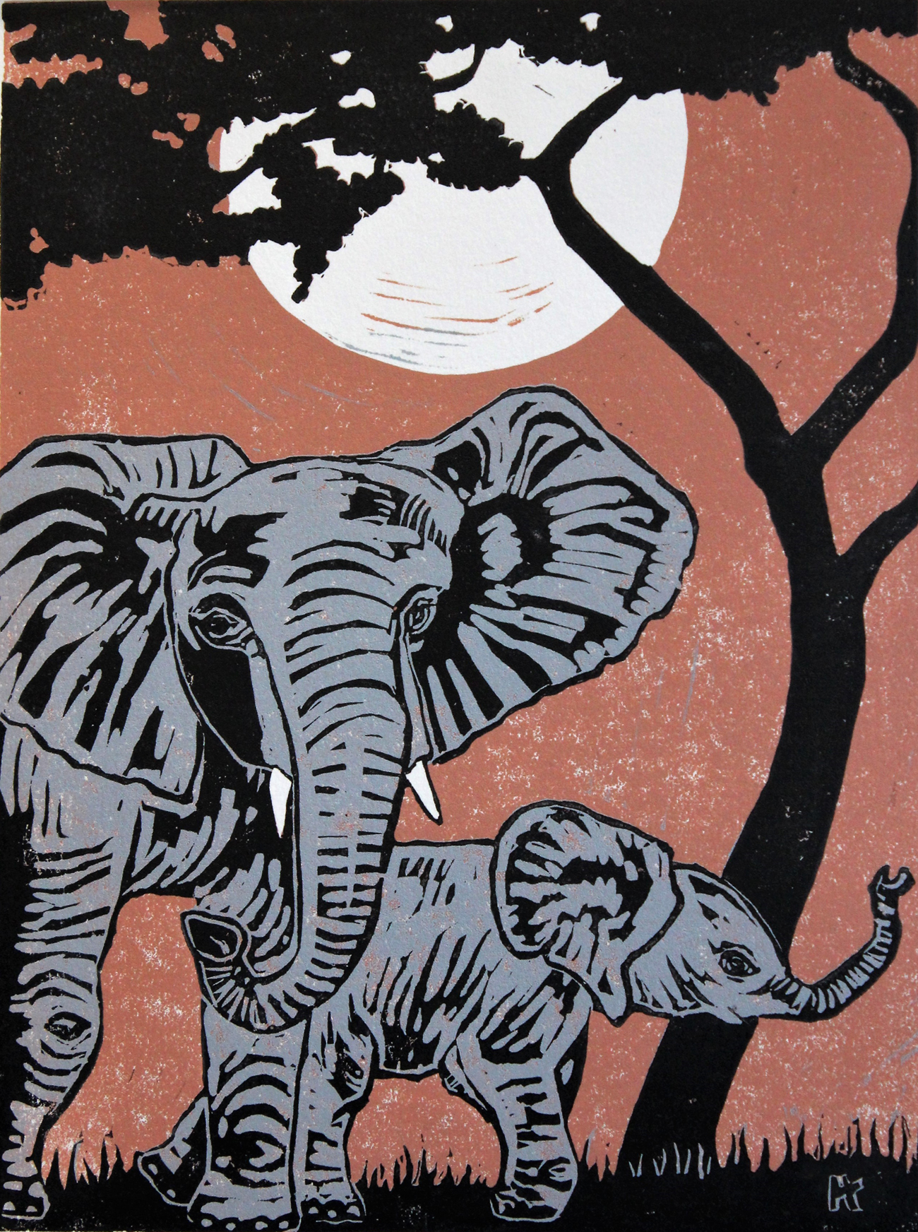 Savanna Stroll
