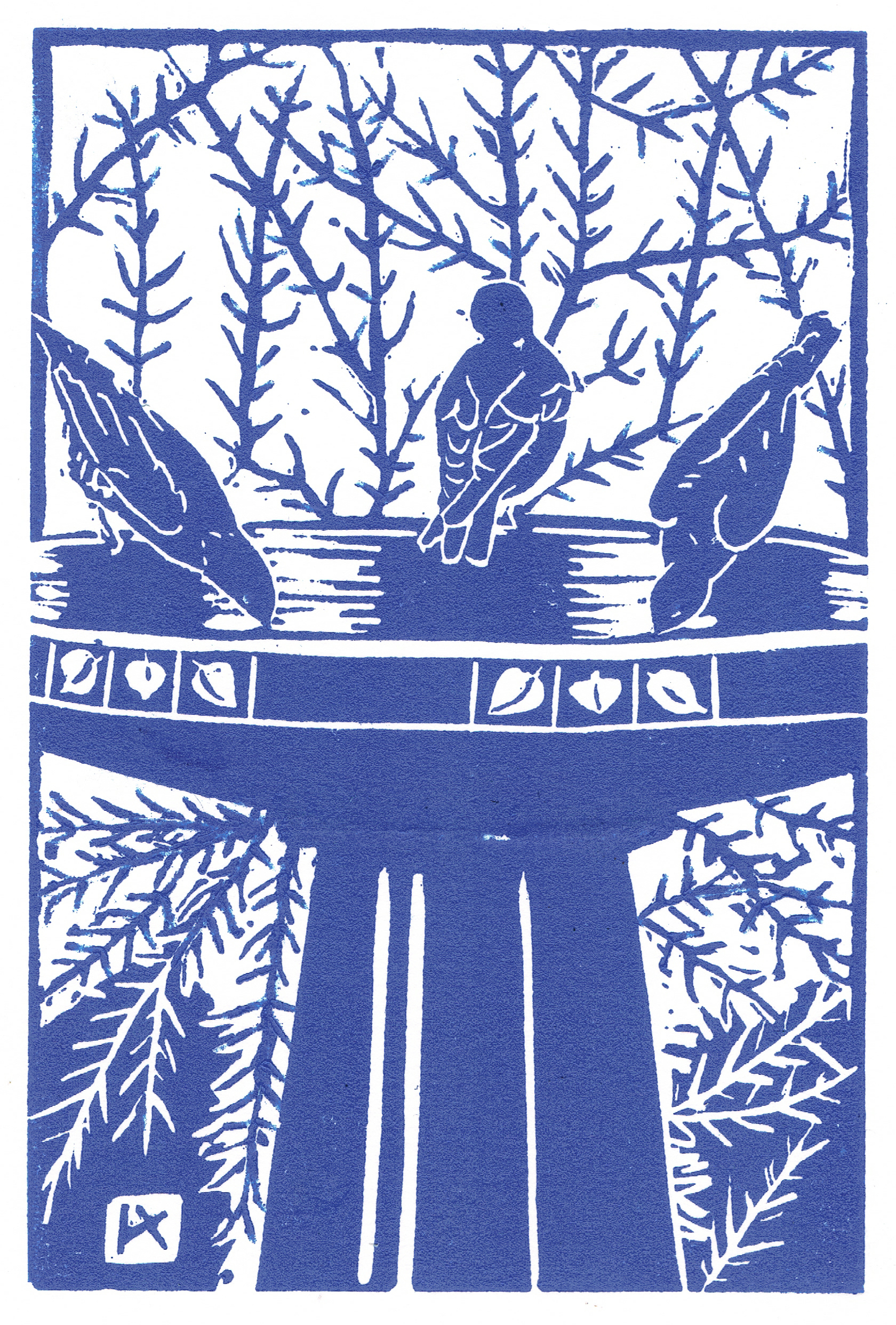 Western Bluebirds