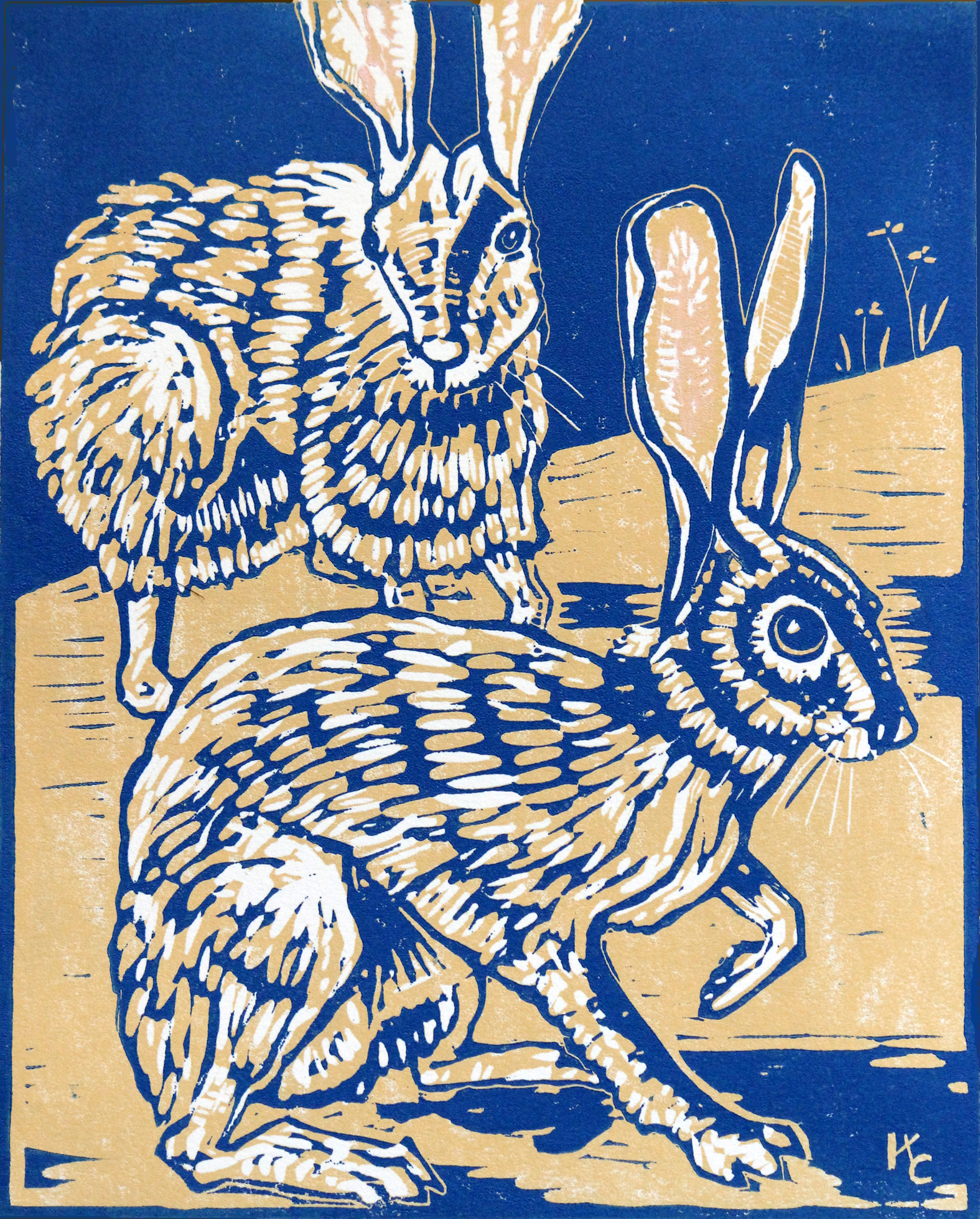 Wild Hares