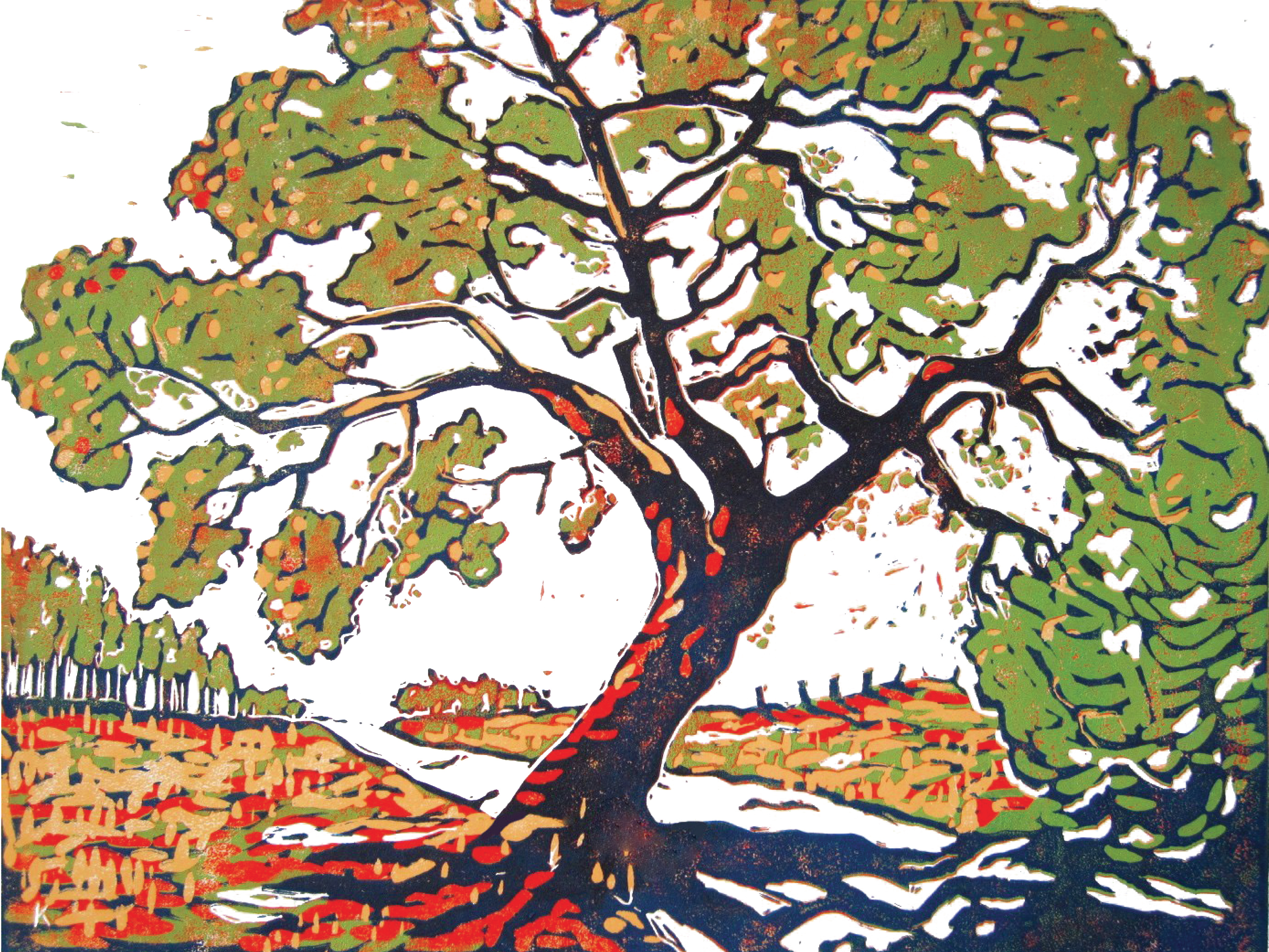 Livermore Oak